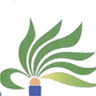 Palmetto Breeze
